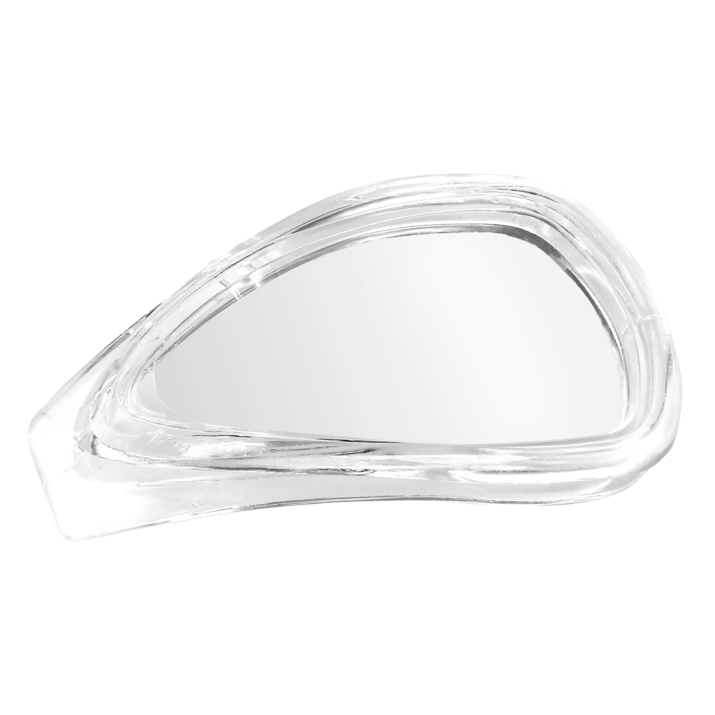 約18cm オウムガイ スライスカット標本